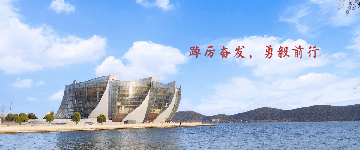 踔厉奋发，勇毅前行